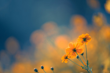 有木有六年级所学过的各种类型的应用题咯