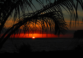 环保小儿歌六句