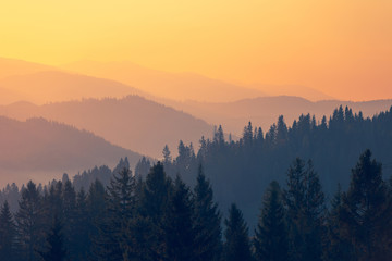 论语十则原文及翻译