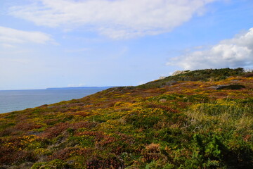 论语十则原文及翻译