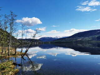 环保小儿歌六句