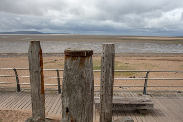 形容全力以赴的成语