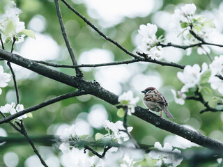 有木有六年级所学过的各种类型的应用题咯