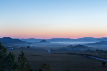 十大公认最香的花香植物
