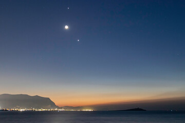 十大公认最香的花香植物