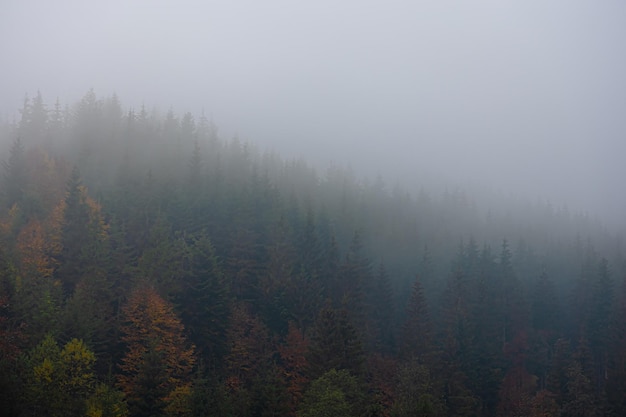 初中语文必读书目