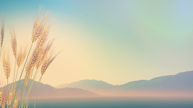 小学英语四年级下册科普Lesson 10的教案设计